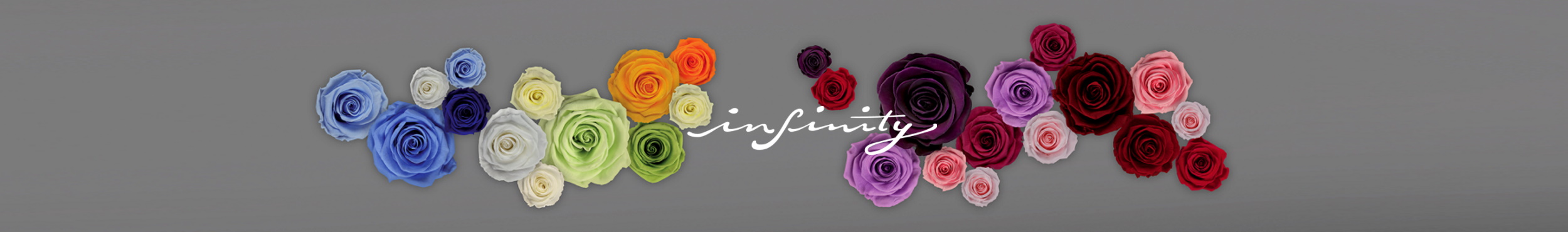 header image for infinity products
